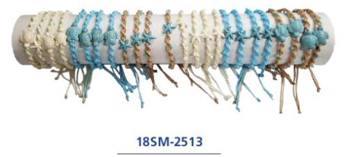 18SM-2513
